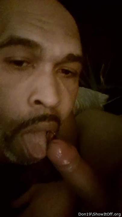 Photo of a weasel from Don19