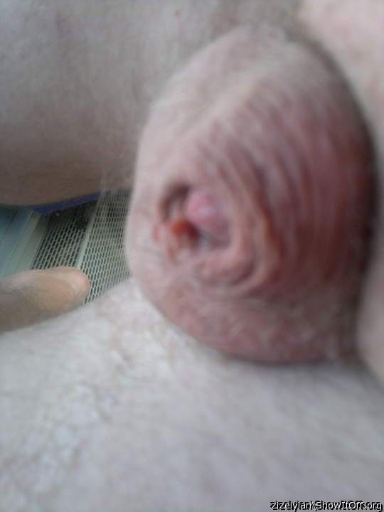 Photo of a cock from zizelyian