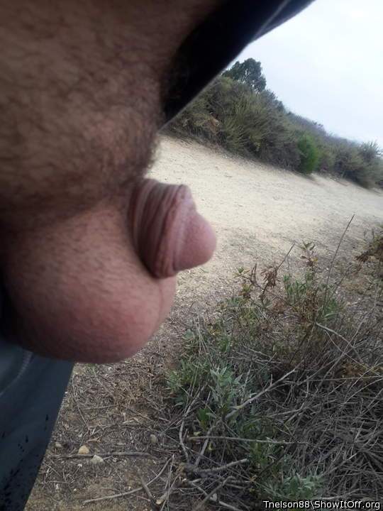 Photo of a sausage from Tnelson88