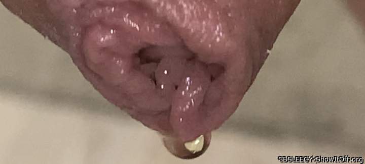 Pissing through foreskin closeup 2