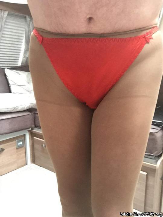 Silk panties