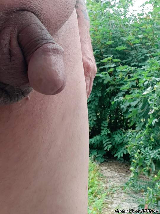 Nice outdoor cock 