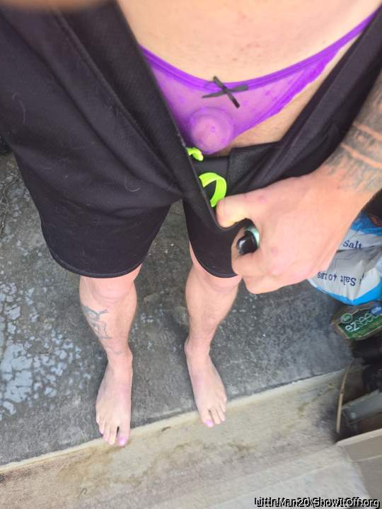 Photo of a lizard from LittleMan20