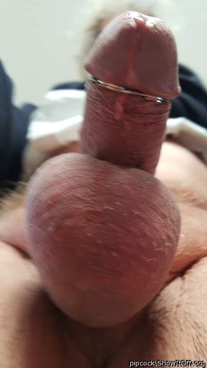 HHUUUUMMMM  I love that cockring squeezing your cockhead, le