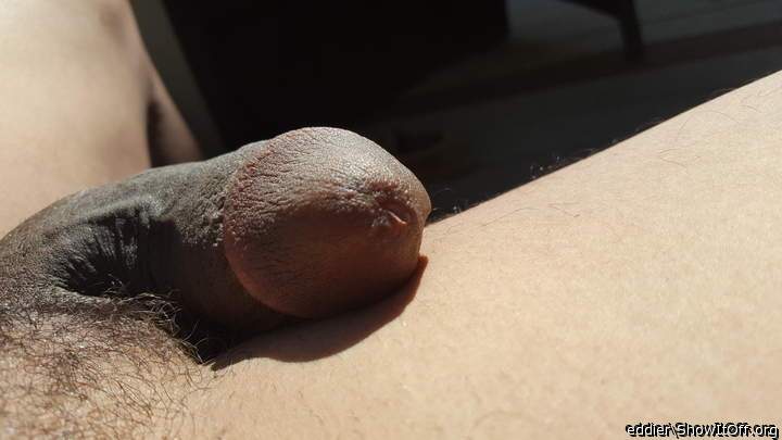 Photo of a sausage from eddier