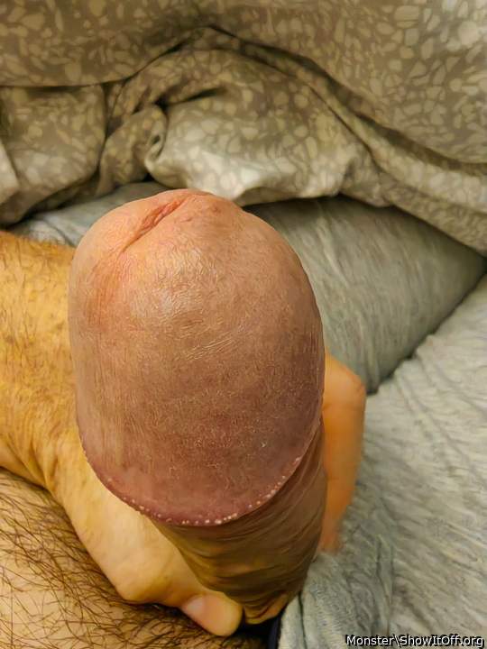 hot big cock head to lick and suck