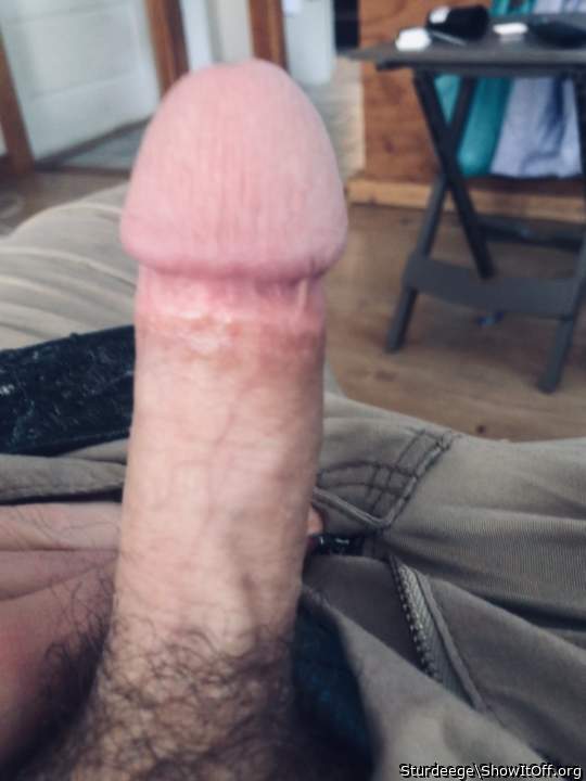 Photo of a sausage from Sturdeege