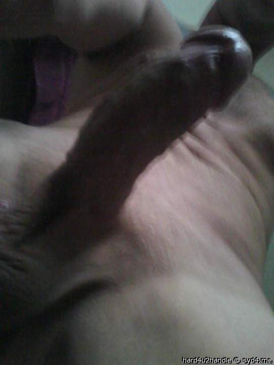 Photo of a python from hard4u2handle
