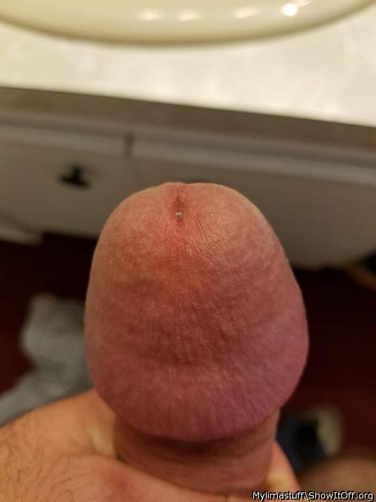 Photo of a bald-headed mouse from Mylimastuff