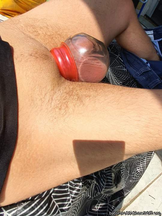 Photo of a middle leg from batorbro89
