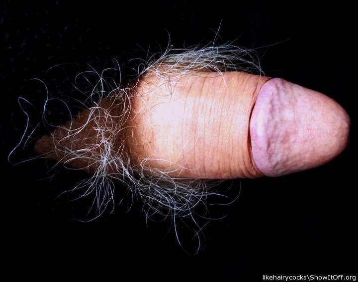 my hairy cock 6