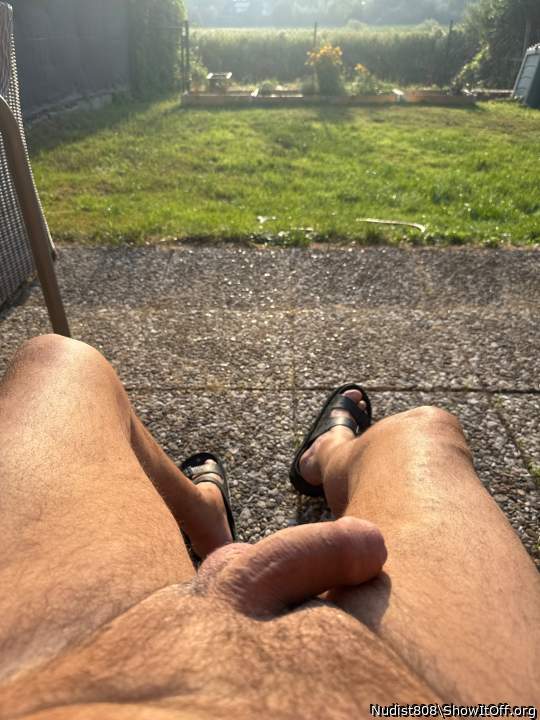 Photo of a bat from Nudist808