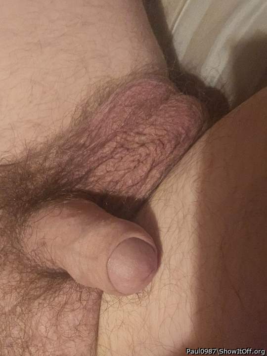 Photo of a cock from Paul0987