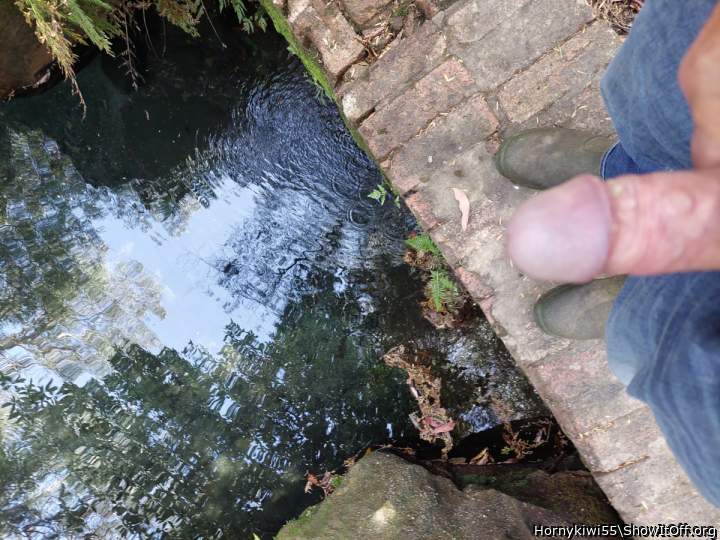 Photo of a wiener from Hornykiwi55