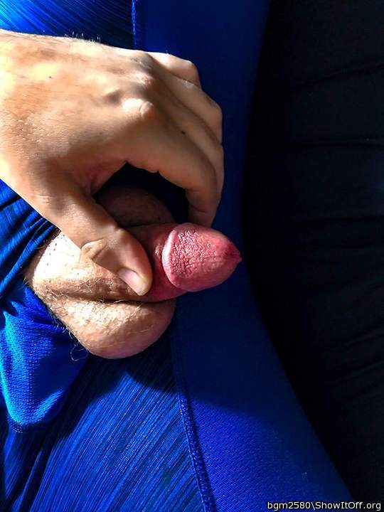 Photo of a dong from bgm2580