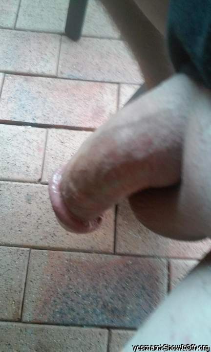 Photo of a pecker from yesmam