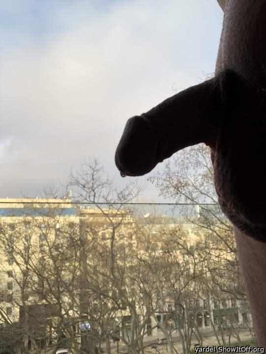 Shadow cock