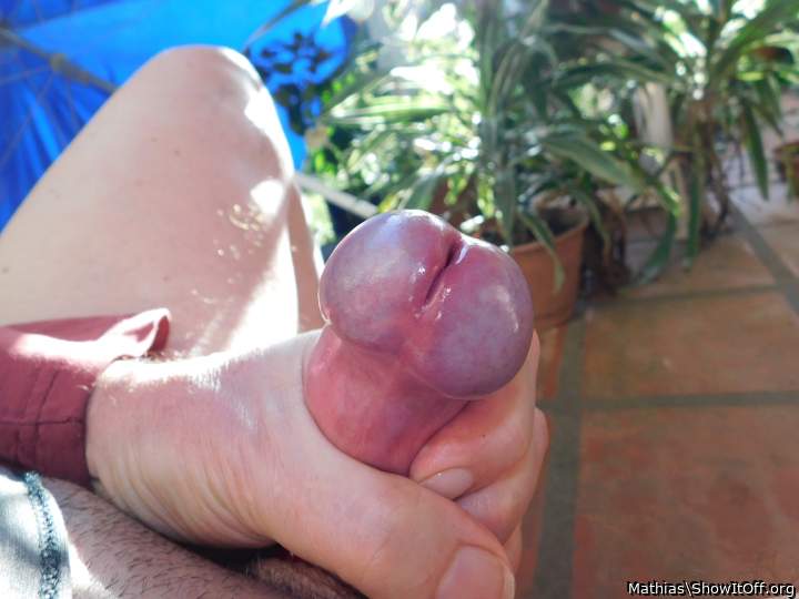 summer time visit to my the garden