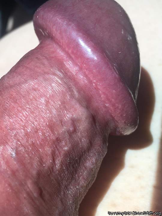 Photo of a pocket rocket from ilovemydick