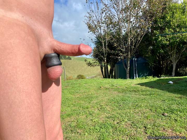Photo of a tool from Shaven