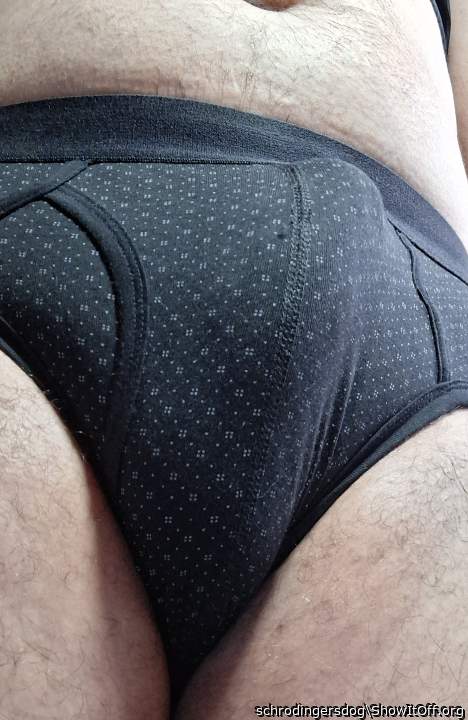 Photo of a third leg from schrodingersdog