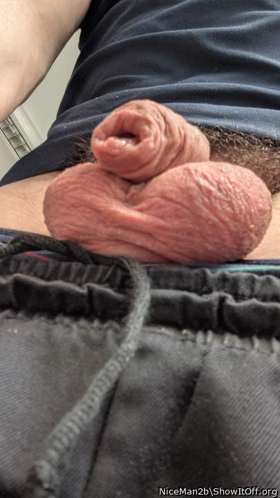 Cock