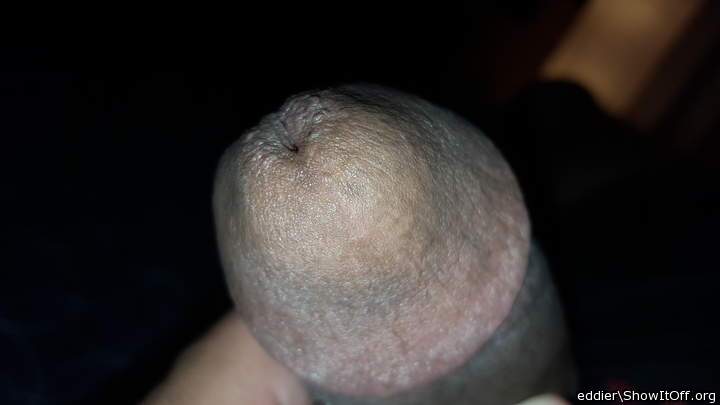 Photo of a wiener from eddier