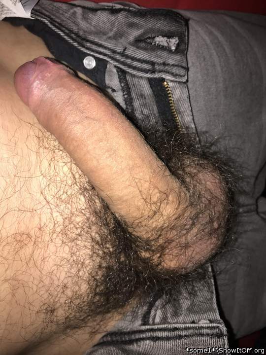 love that bush!