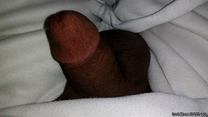 Photo of a schlong from imi