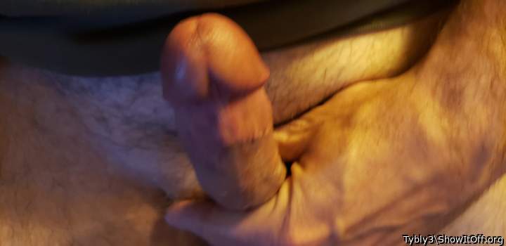 Photo of a cavalier from Tybly3