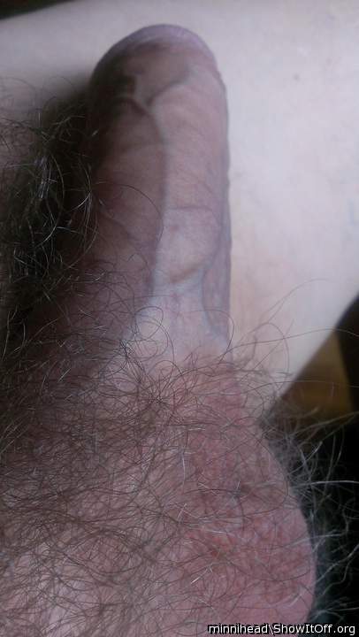 PLEASE, Don't ever shave that!