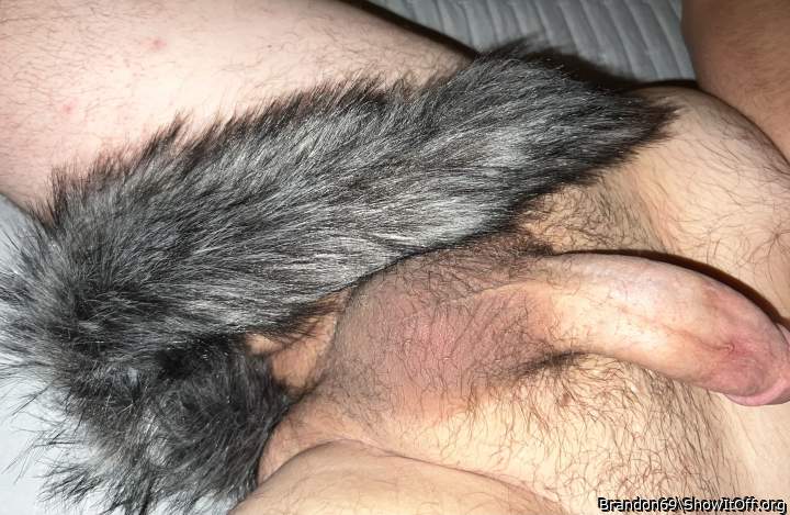 Photo of a private part from Brandon69