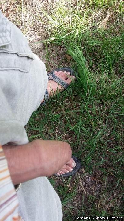 Photo of a third leg from Homer33