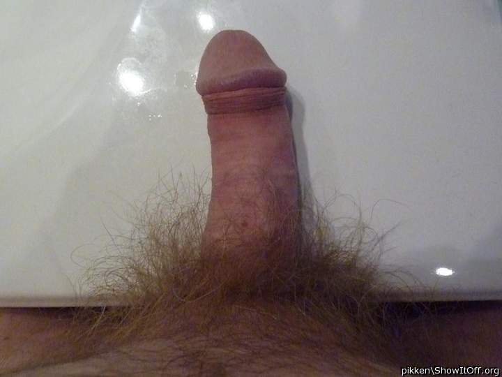 Photo of a sausage from pikken