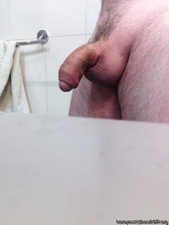 Photo of a cavalier from hornymat