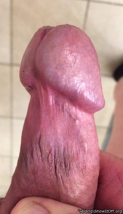 Photo of a prick from gelding
