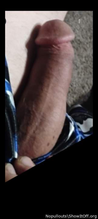 Photo of a hot dog from Nopullouts