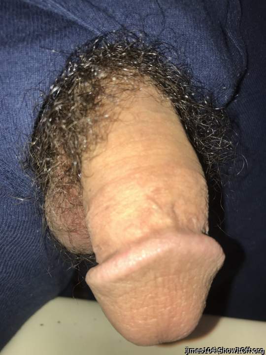 Photo of a snake from jimes104
