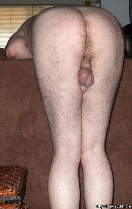 Photo of Man's Ass from billycat