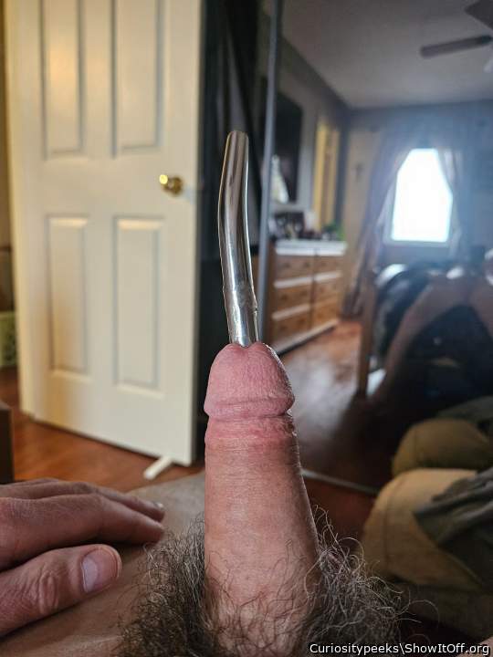 Photo of a middle leg from Curiositypeeks