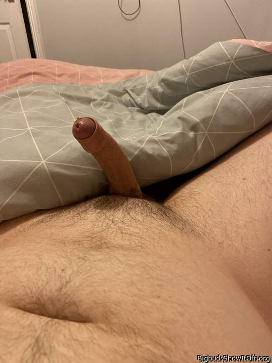 Photo of a dong from Bigbud