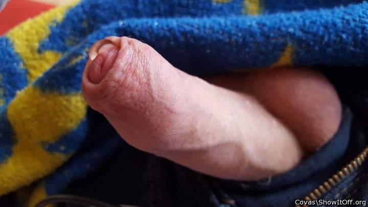 lecker sieht dein schwanz aus  