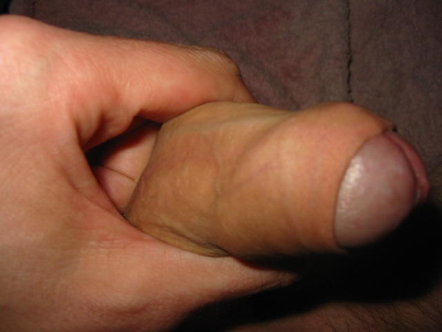 Photo of a weasel from freakyfrenchie