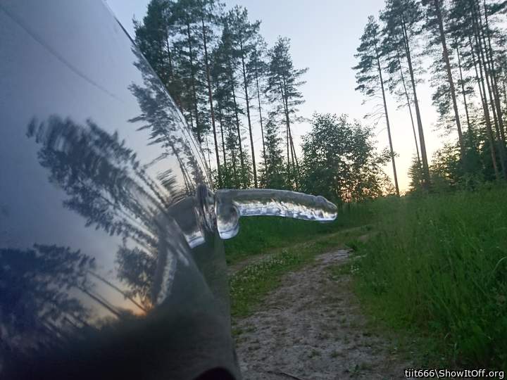Photo of a private part from tiit666