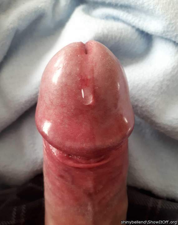 Slowly Creeping Its Way Down My Shiny Bell End