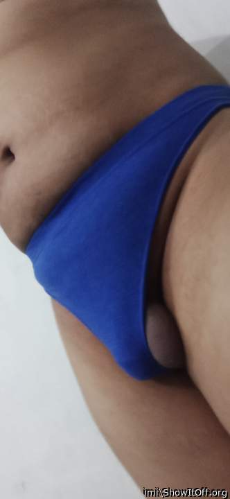 Photo of a lizard from imi