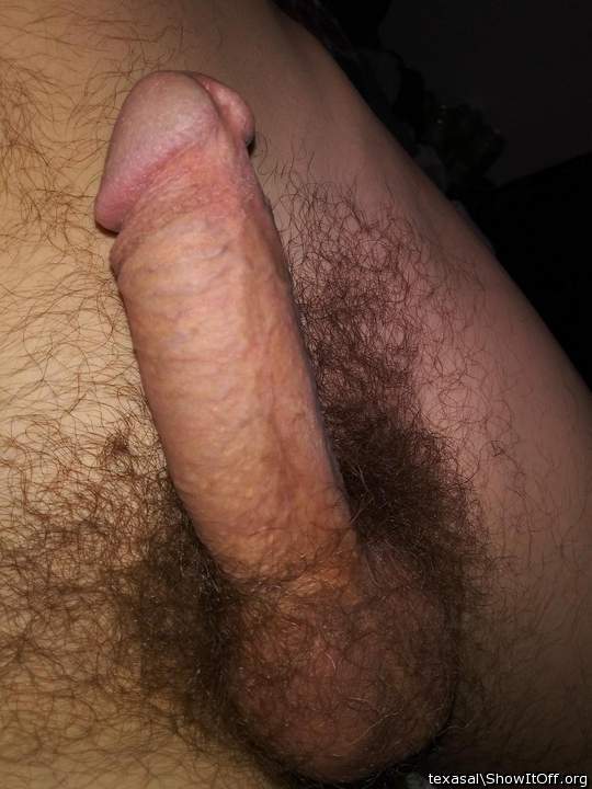 Photo of a stiffie from texasal