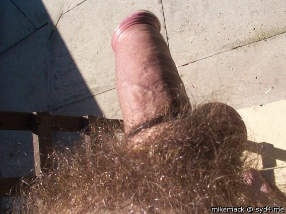 love your big bush