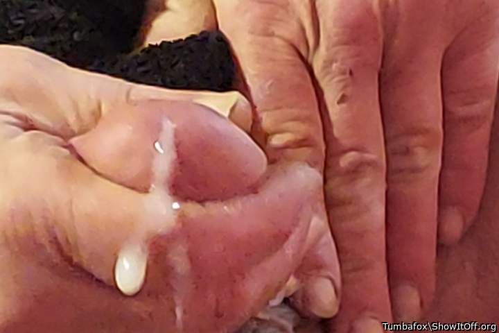 Photo of a bat from Tumbafox
