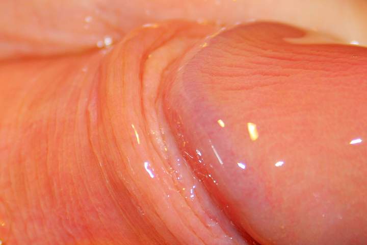 Photo of a pecker from Vanillacum